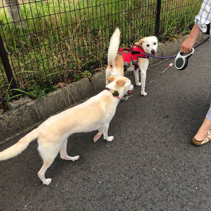 F1d054c5 75a9 4b5b a836 d4c736a4d4f3 1631078918429