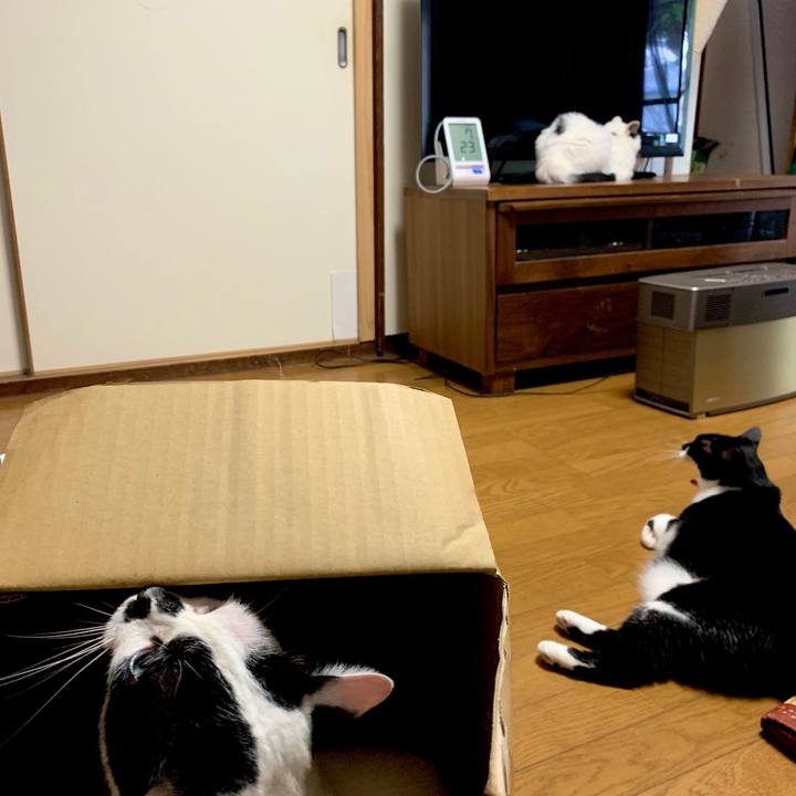 F1d06bc2 bc91 4b86 87dd 855487b39d3f 1595484356278