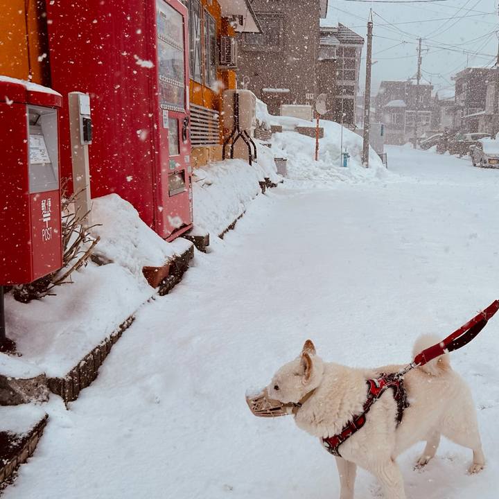 F1d06df8 7bed 42c3 9ad7 8f9b0b27ae1a 1710893560941