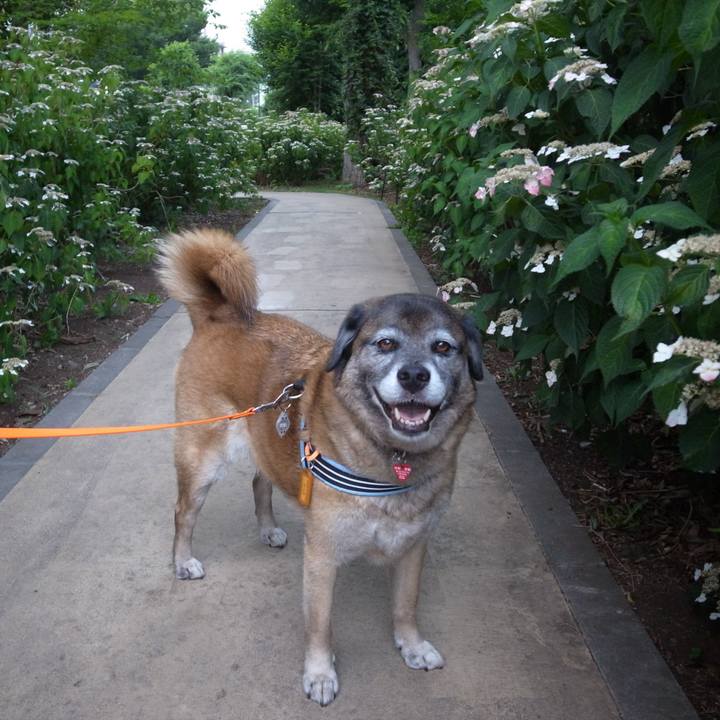 F1d09228 1138 4596 8e93 e8bbf741622c 1717465492843