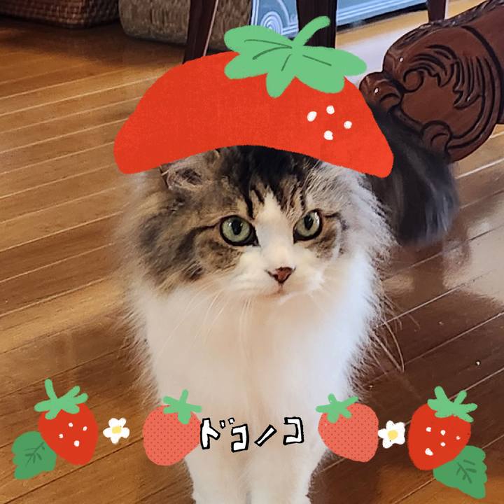 F1d11910 3c01 4c8b 9cd3 03e0f4081b33 1775872133142