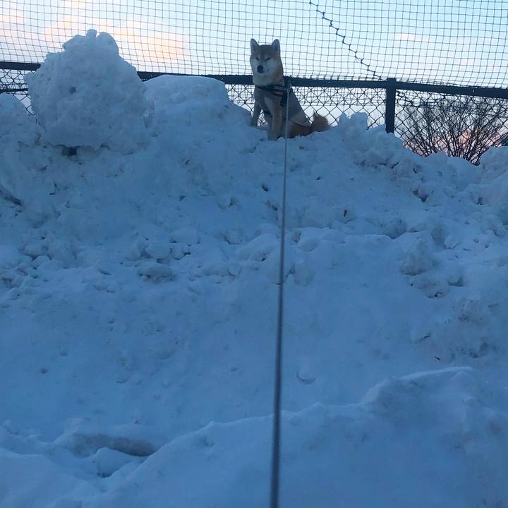 F1d1203e 626e 483b ad90 a0bc44ca9cc6 1549788514357