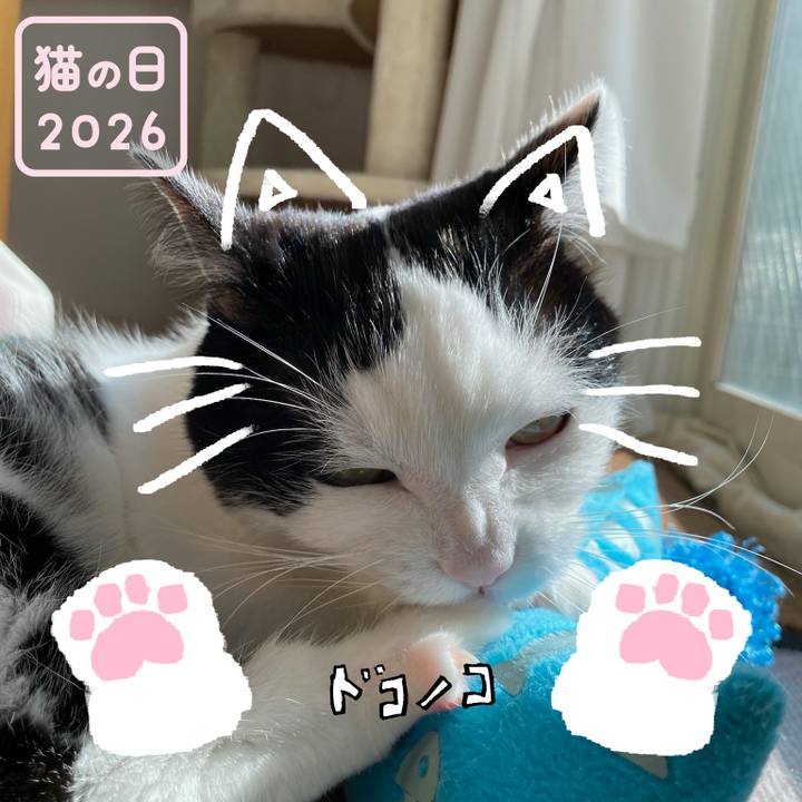 F1d133a5 069b 40d4 bea4 a3af501d81ea 1771716819125