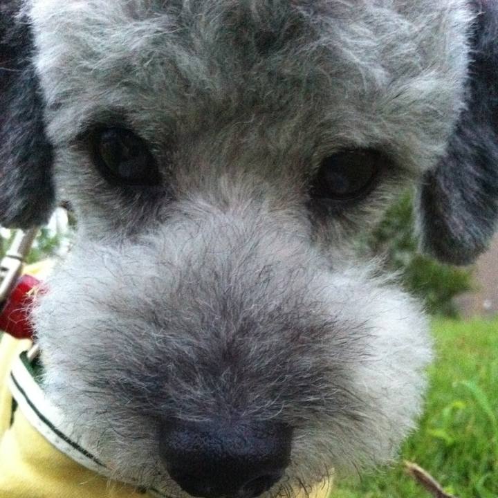 F1d17e72 8ba8 4adb b6f7 7325c2633593 1691375199917