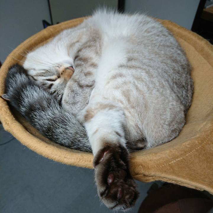 F1d19f19 468c 4696 ae58 ddab34f51793 1561300114385