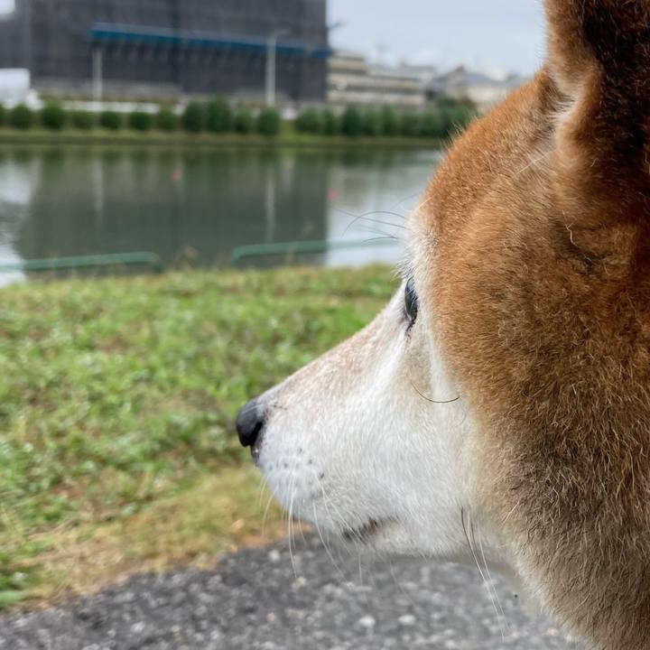 F1d1a3a7 f90d 4638 ac64 e914ca63c009 1732162082250