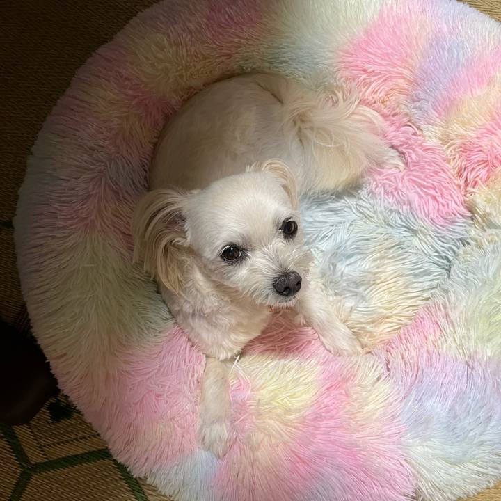 F1d1d682 766d 4e2f b2f3 aa1301d54ba5 1688383997702