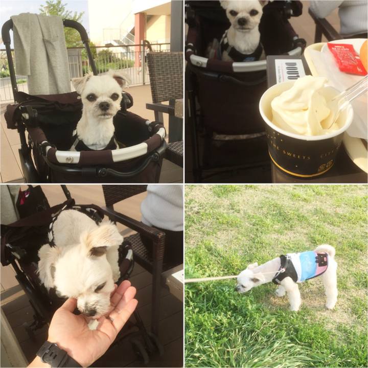 F1d1dd82 6a80 49f0 8235 d8c7b8f2bdb6 1555842725120