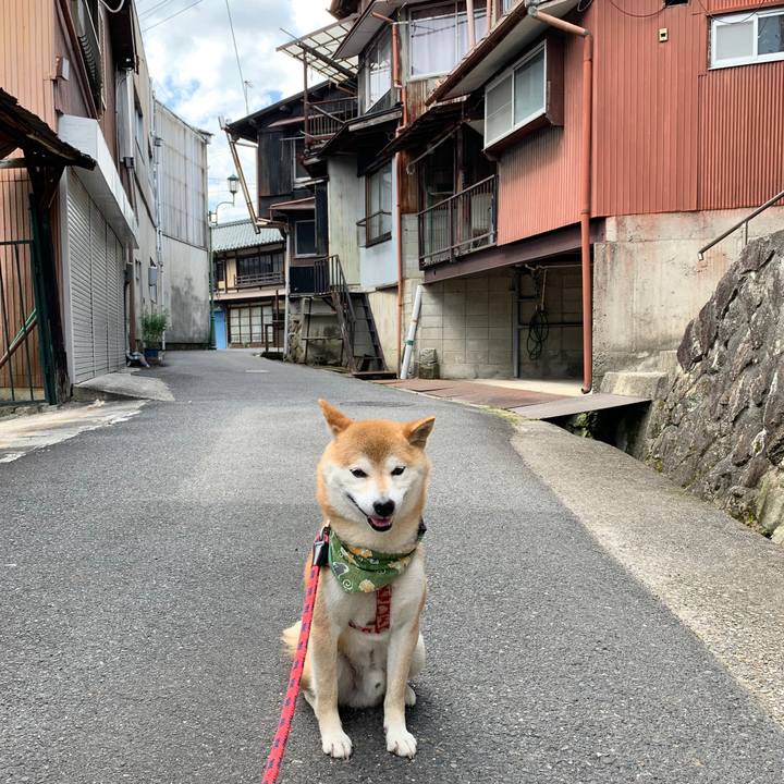 F1d1e0d6 a1e1 46b8 bfa2 5f38edccdc80 1591011105080