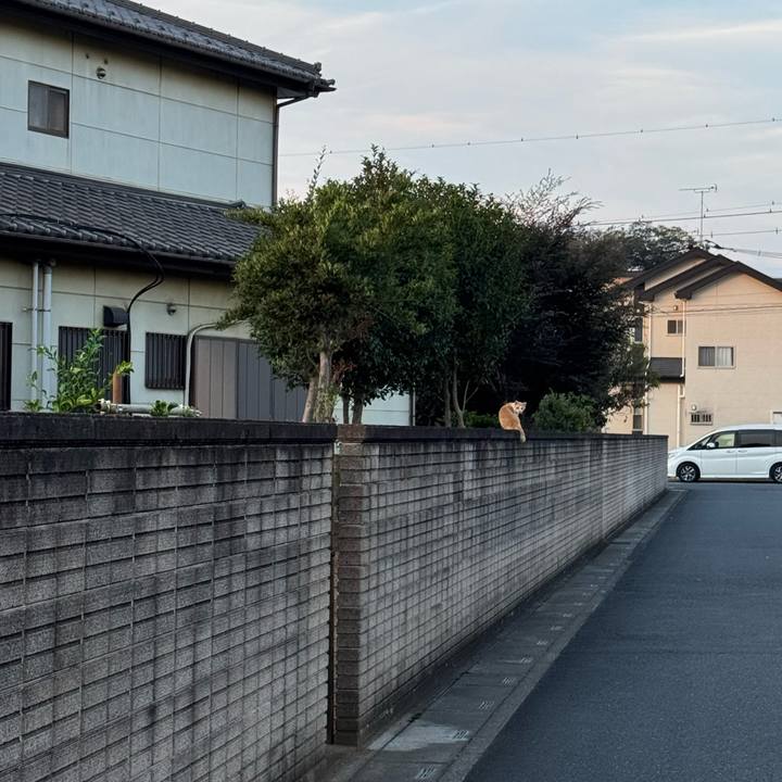 F1d1eeb1 5828 46fa b299 5994df206ea9 1755486886967