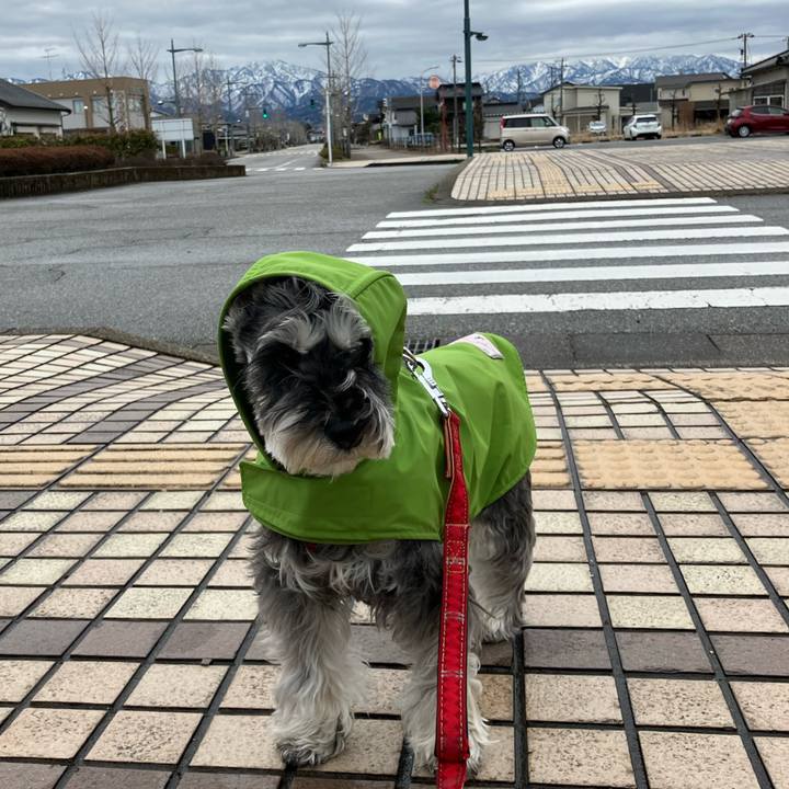 F1d1f7aa d4bf 4917 b19d cb38c90bbdff 1711196829635