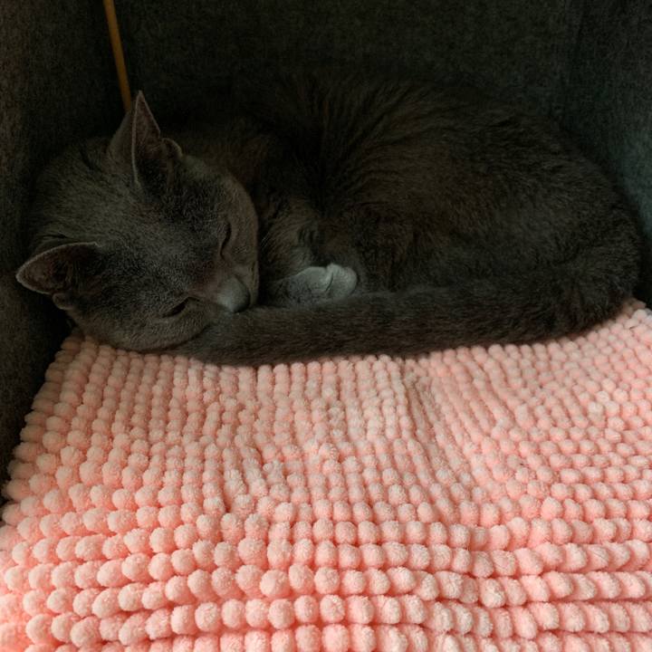 F1d21085 7fa0 411c 9182 0276bdc1cbac 1552946201071