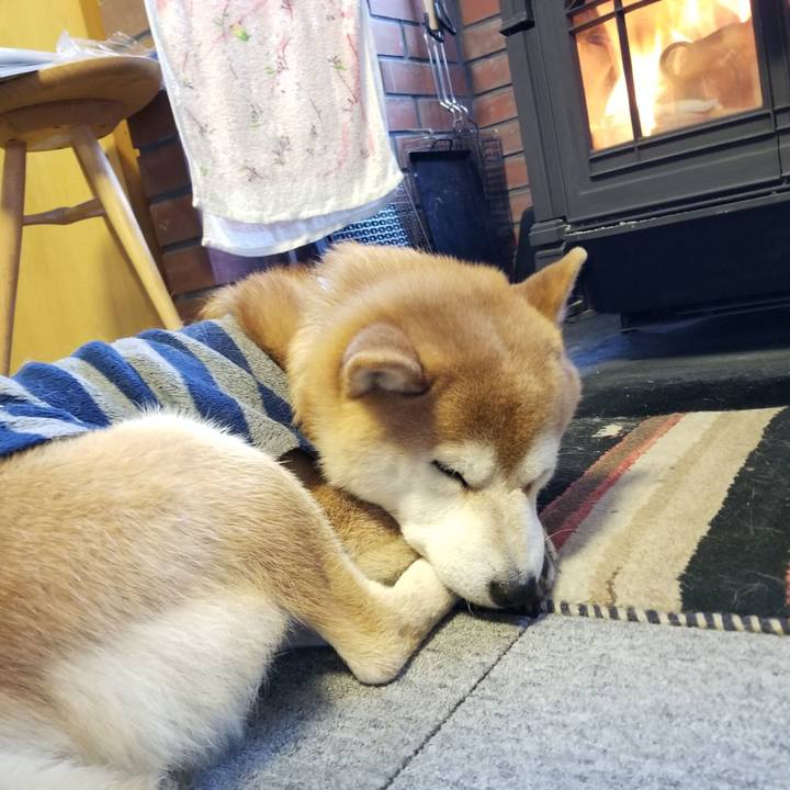 F1d24767 f71f 4ef8 b33b 10c3df13ead9 1581116999086