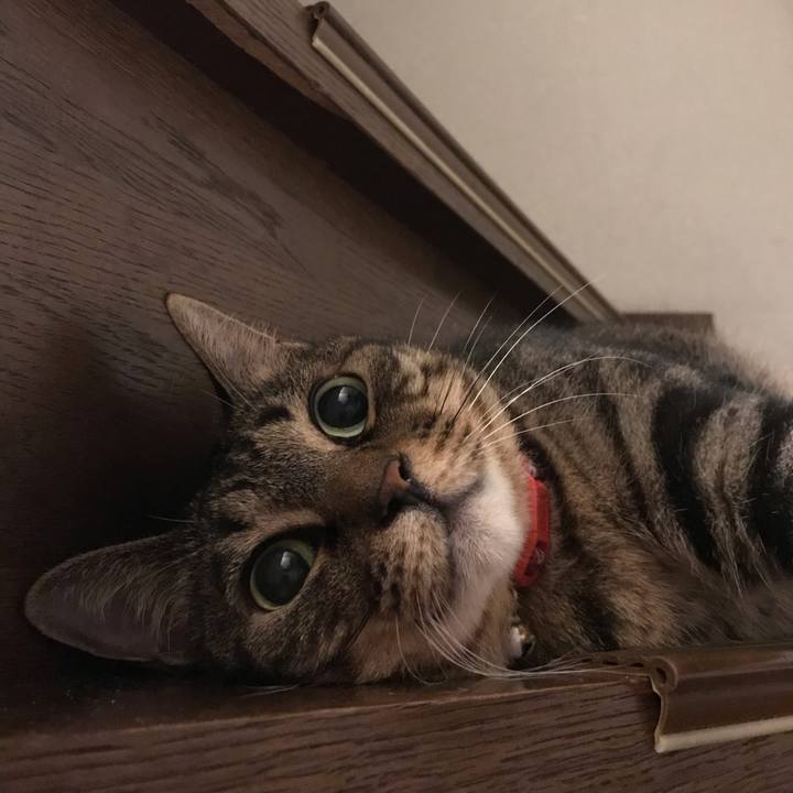 F1d26705 9d80 413d 9521 d118a1536a6c 1593864541784