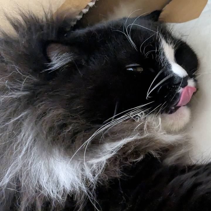 F1d29fcf ee9a 4e59 ac27 b582c6f5514e 1760099770819