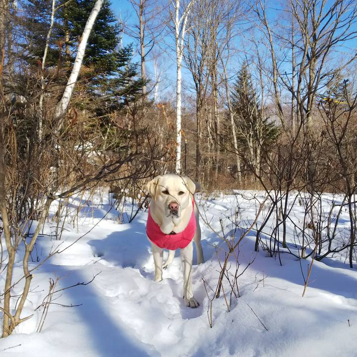 F1d2c6a7 a808 4a9b ac12 f8cabd8a67d1 1577929057605