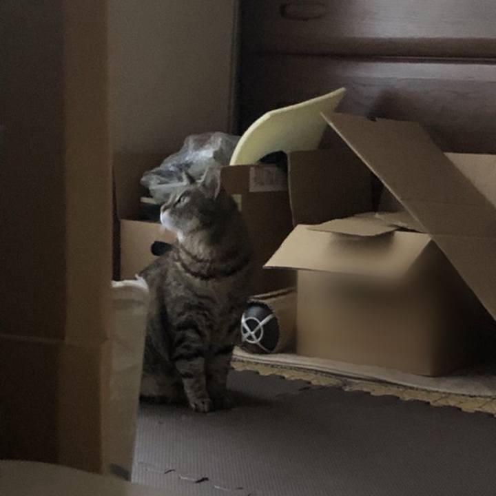 F1d2cd07 5b09 4357 bfb5 621c36e99d4d 1558429615895