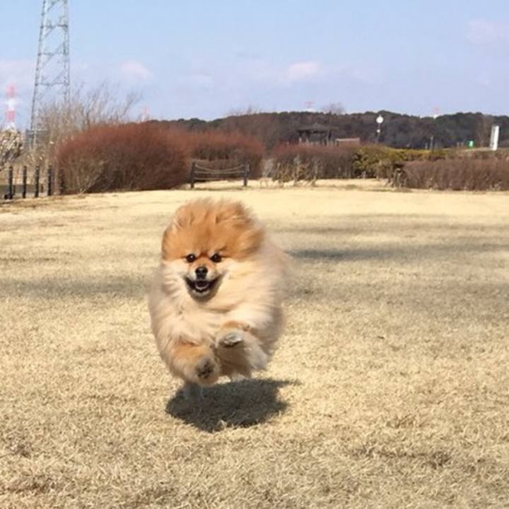 F1d2f48a a5c2 43c1 a8e4 8d05ee69f1ee 1523239354426