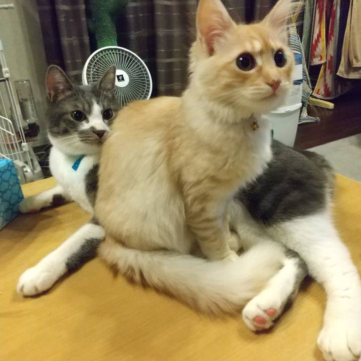 F1d30586 9953 400e bc4b d2fa183ac5dd 1609156707827