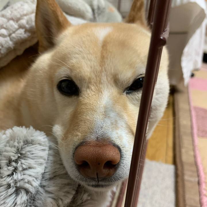 F1d32646 c869 4567 b2d2 874eef0fbc11 1647438285997