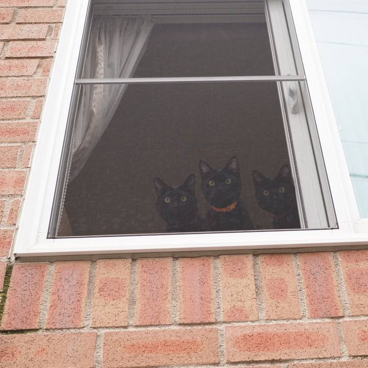 F1d330c7 172b 4f16 9d2a 9f5ca5a8903d 1540509939151