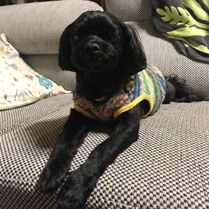 F1d34c1e 8855 4ad9 8b3d 1f4fc842aa11 1540904910771