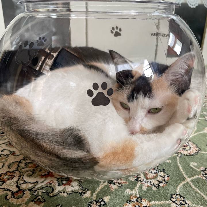 F1d350fd 90ce 43f9 9283 321976e74ee6 1722821990777