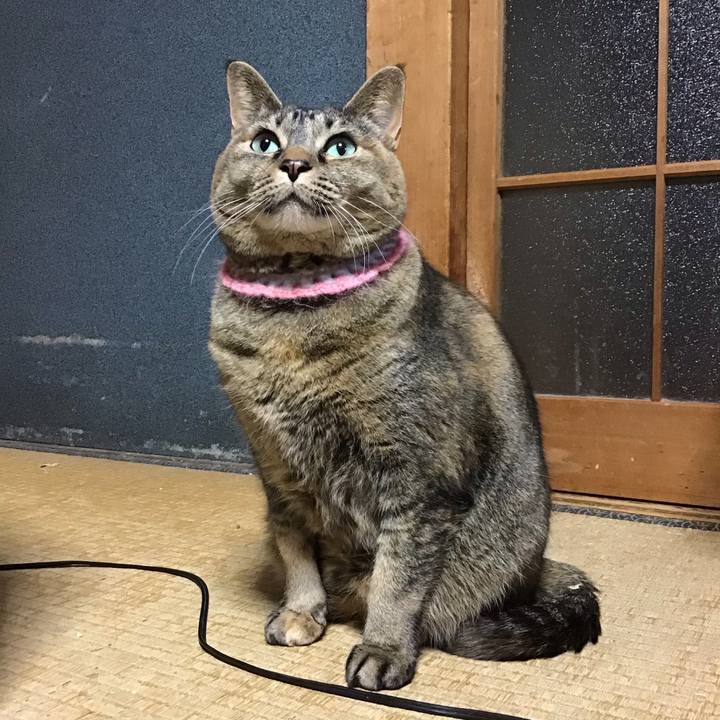 F1d37add f7ef 475c b870 8d63ba236ada 1743496710290