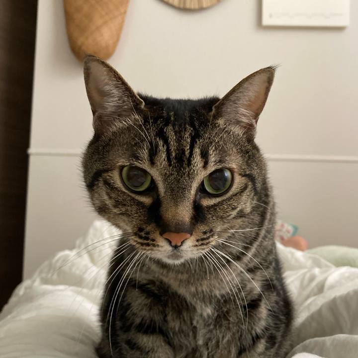 F1d38236 dbf7 471c 9f8d f4edd8e757e9 1681342275794