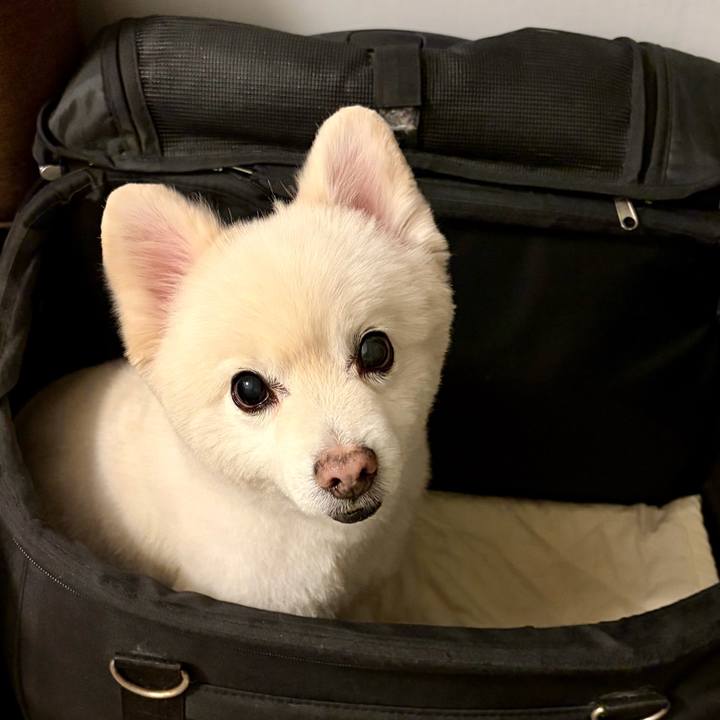 F1d39a7a 4a04 4766 91fd deadd1bee4ec 1762259298789