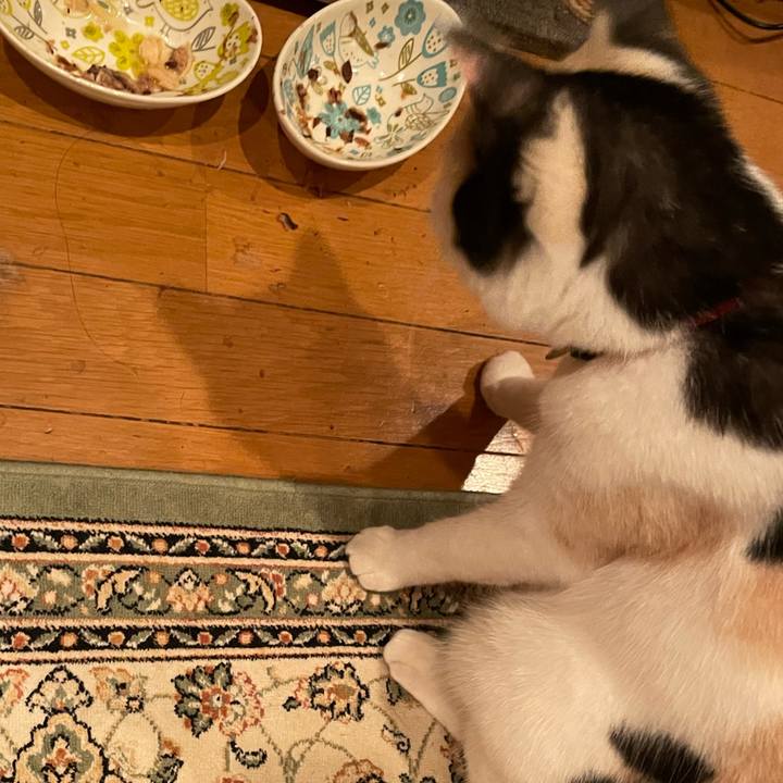 F1d39f7a bba7 469f aa24 33da161c95cc 1718633258496