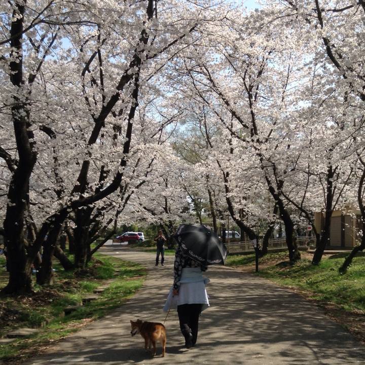 F1d3aace 7dca 4e17 a6e4 e01e907a0c09 1522220179579