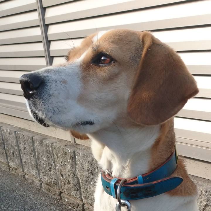 F1d3d049 a310 47ff 8a44 4fac5b28f720 1610891745295