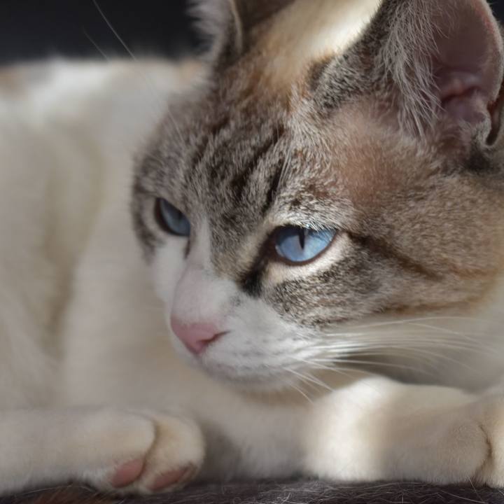 F1d3d1e5 5045 4900 9fef fe584c11809a 1520583831525