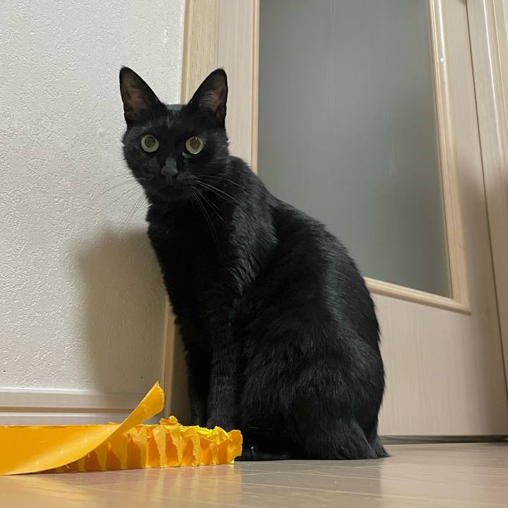 F1d4708c 5706 4a05 810d fa896ea0d858 1728650356172