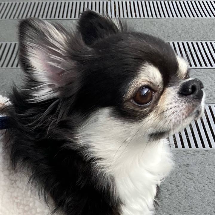 F1d4c520 f553 493f acc9 bdd22df6ff07 1674362012172