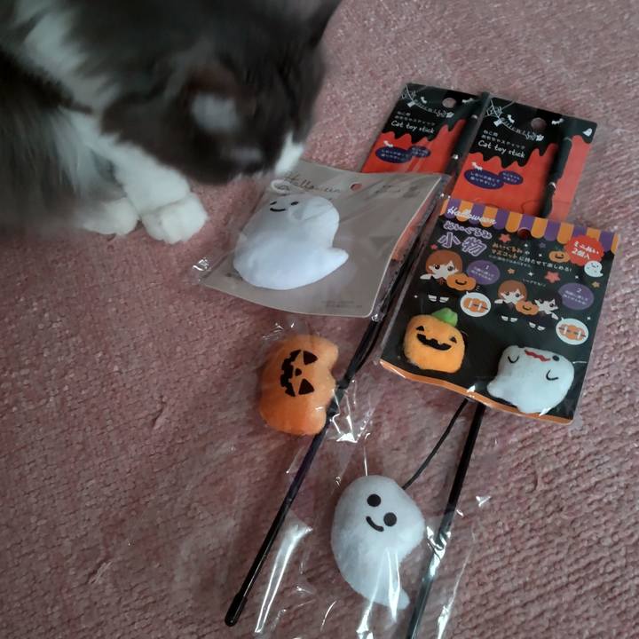 F1d510cc a480 45c5 9079 2bb15c80200d 1693474005356