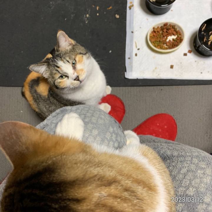 F1d5434e 6459 4df9 8b3d 7420bd21b91e 1678618041288