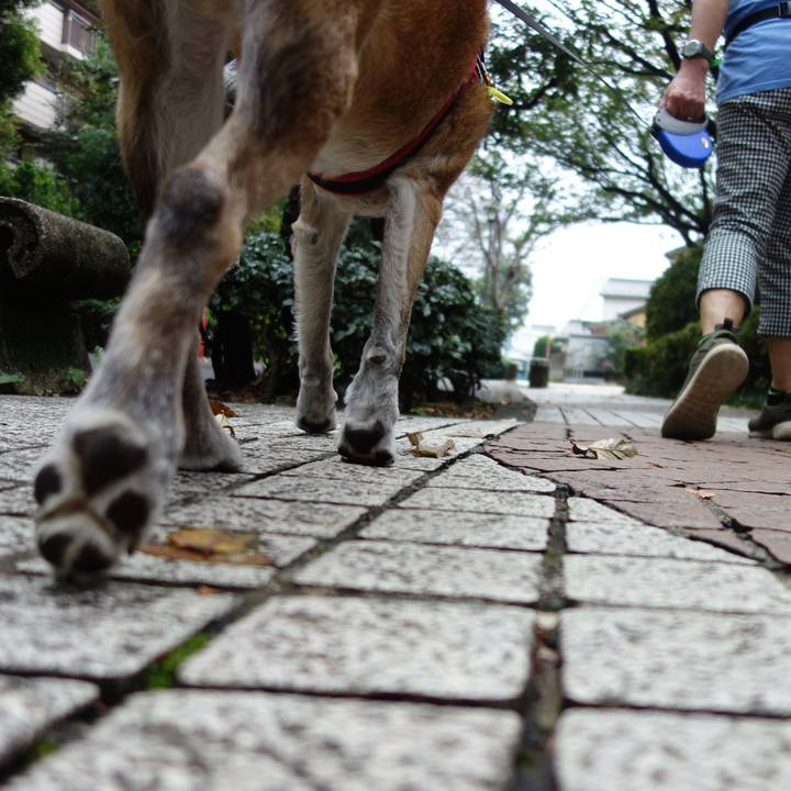 F1d582a6 457a 4ea5 bd23 437dd496de86 1538788351780