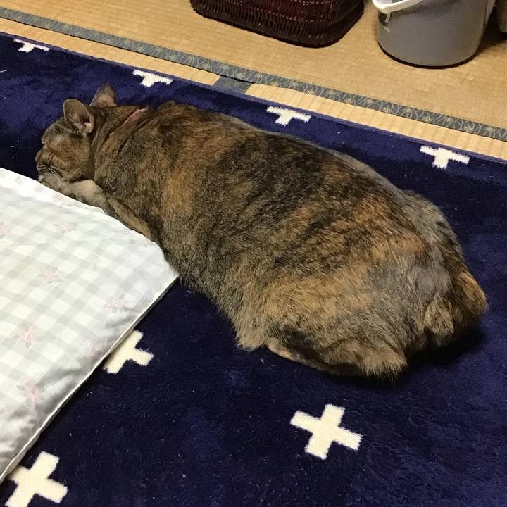 F1d58f01 d0bf 4f3c 9ec7 03f4a142b10e 1734950474774