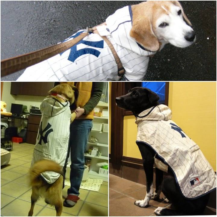 F1d590da d122 493d a5cd 8e85beef4c67 1586686723029