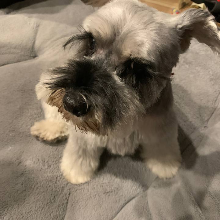 F1d5baa9 05fe 456b 9fcd 845bd32e25ee 1676707961310