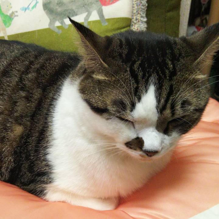 F1d608f6 4101 4148 85da 8f6c94d93aad 1661511822463