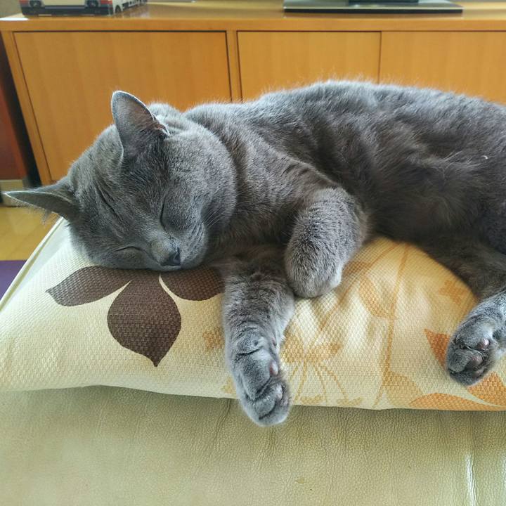 F1d60f5c d230 4d92 88d5 33d079697e1f 1531374551706