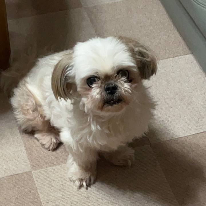 F1d60f6e 7d48 4196 a19c c02fe7a6ed8a 1658982141726