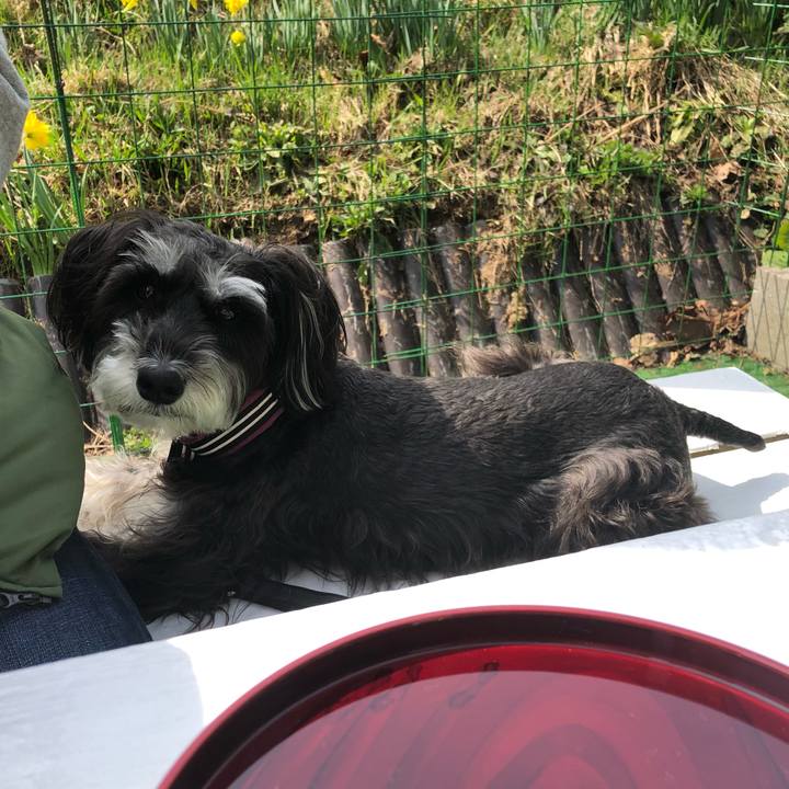 F1d63233 a0df 492b bc91 2e0dc239cd80 1556596165093