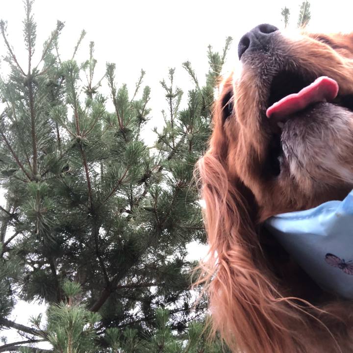 F1d646fa 473c 4b5e a4d7 68fdb7067f2c 1625437542041