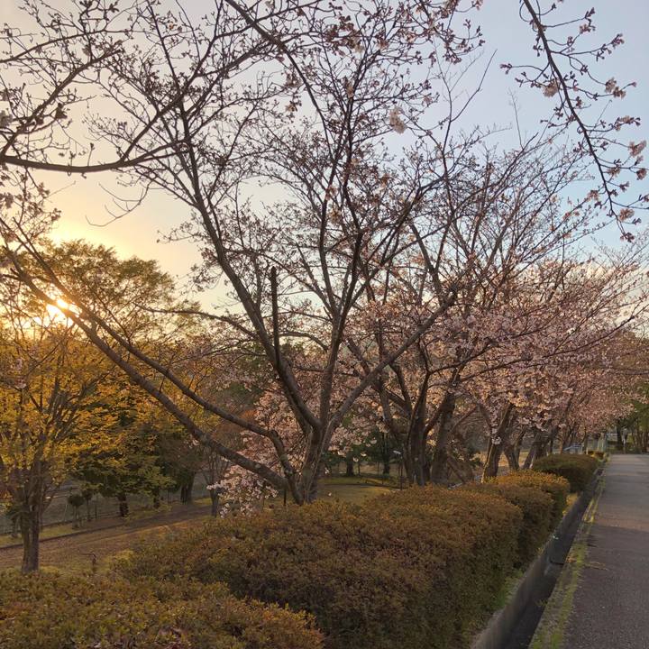 F1d67d57 f5b0 4446 8034 033322fe66fd 1554069563425