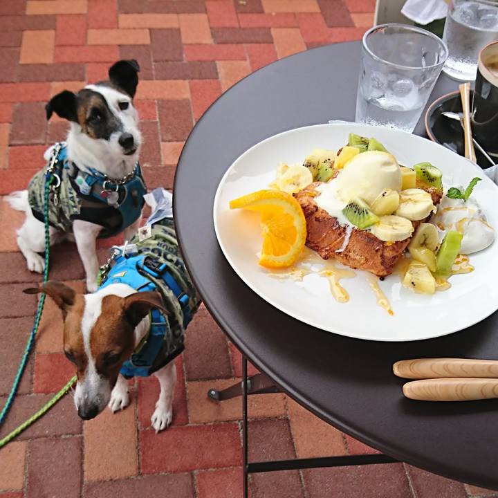 F1d6ac33 d5ee 43b8 b6b6 0f7a014765c7 1593081133559