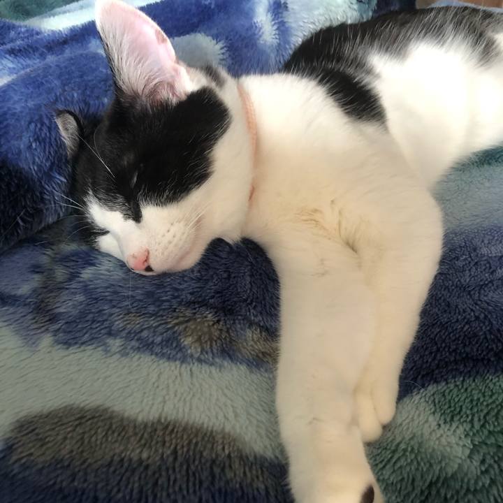 F1d6d284 fb9e 4f3d bc22 bfe68c8929b9 1621122625327